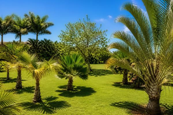 location villa tamarin ile maurice7