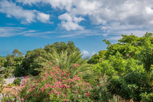 villa for rent long term tamarin black river mauri