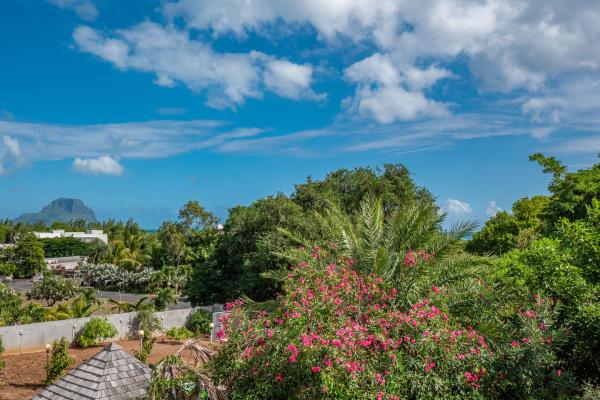 villa for rent long term tamarin black river mauri